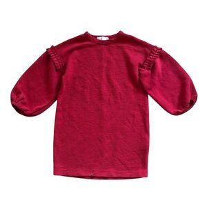 Zara Red Ruffle Sleeve Dress